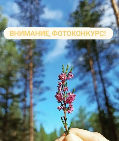 Фотоконкурс "Люблю тебя, мой край родной"