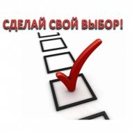 Сделай свой выбор в День самоуправления