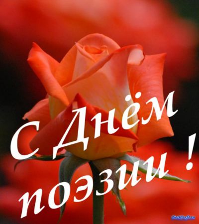 Литературный марафон